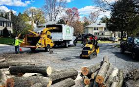 Lawn Grading and Leveling in Fort Montgomery, NY