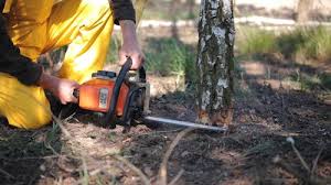 Best Lawn Grading and Leveling  in Fort Montgomery, NY
