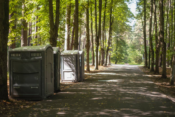  Fort Montgomery, NY Tree Removal Pros