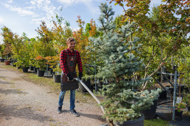 Best Tree Maintenance Programs  in Fort Montgomery, NY